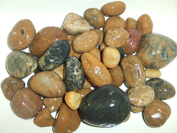 西海岸玉石 102.10.08 003