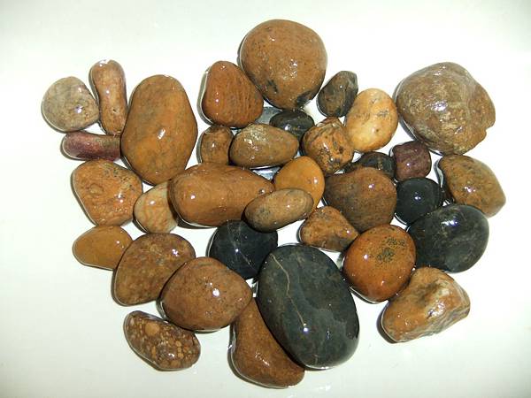 西海岸玉石 103.11.03 001