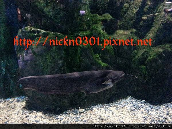 CYMERA_20150419_212600