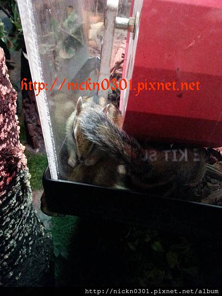 CYMERA_20150419_212634 CYMERA_20150419_212634