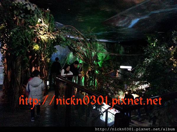 CYMERA_20150419_212901