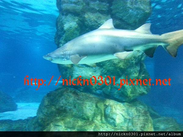 CYMERA_20150419_213121