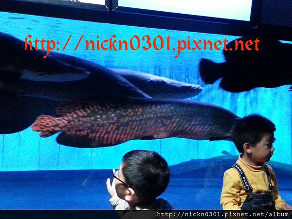 CYMERA_20150419_213003