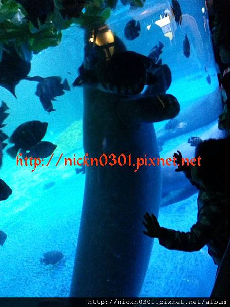 CYMERA_20150419_213042