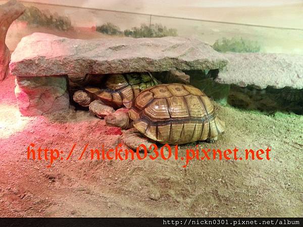 CYMERA_20150419_213152