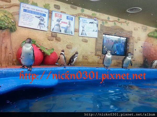 CYMERA_20150419_213223