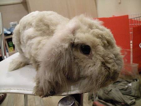 439d9398c6549ce24d2262144a06fed5