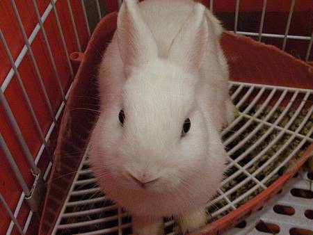 14e44c849d0acb36a523808d981f4ba2