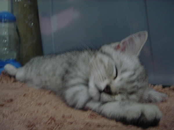 DSC02228.JPG DSC02228.JPG