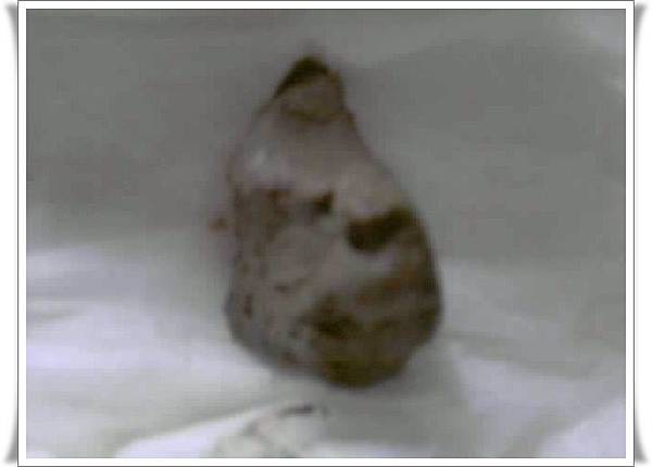 Resize_P200312_08.05