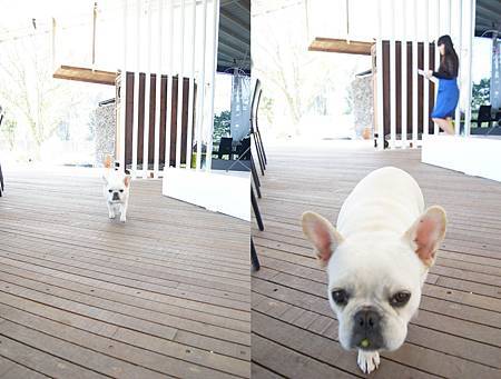 埔里餐廳推薦_九樹餐廳 (7).JPG 埔里餐廳推薦_九樹餐廳 (7).JPG