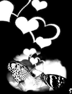 butterfly~