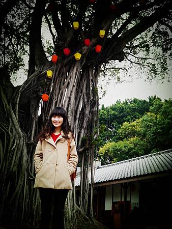 P1020508_副本.jpg P1020508_副本.jpg