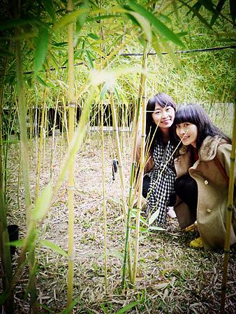 P1020527_副本.jpg P1020527_副本.jpg