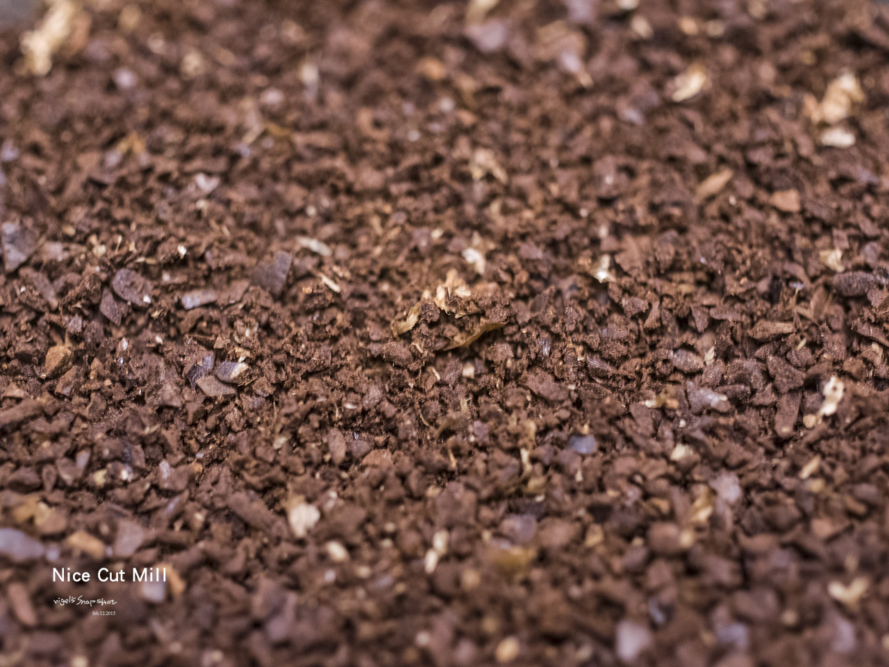 R9241373 拷貝.jpg R9241373 拷貝.jpg