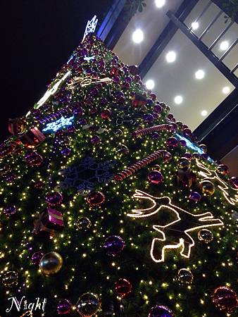 IMG_7928 IMG_7928