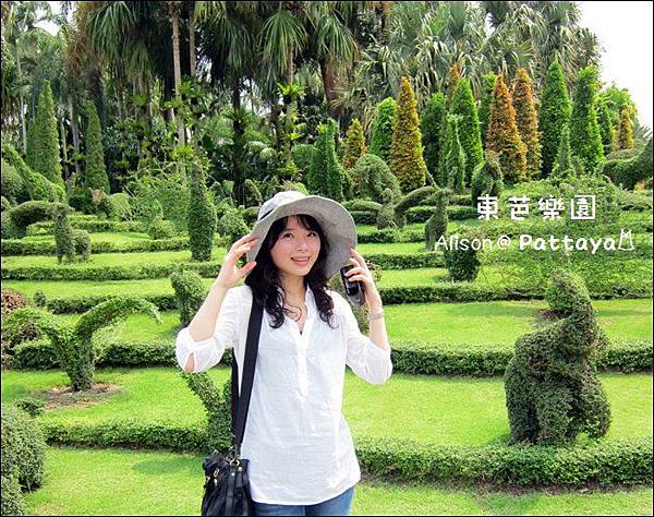 東芭樂園1 東芭樂園1