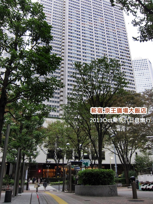 IMG_4391 IMG_4391