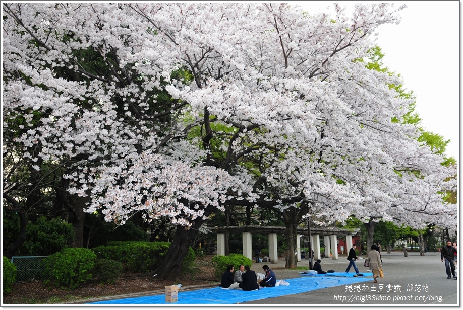 上野恩賜公園 上野恩賜公園