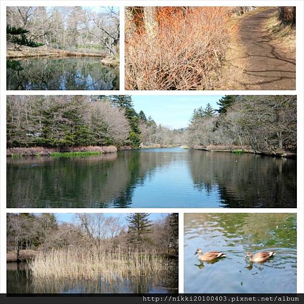 PhotoGrid_1397354455854.jpg PhotoGrid_1397354455854.jpg