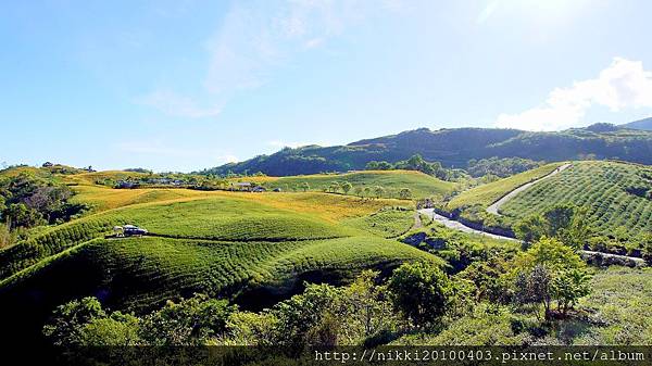 2024 花蓮玉里五大旅遊景點、三大美食、兩大金針花熱門景點