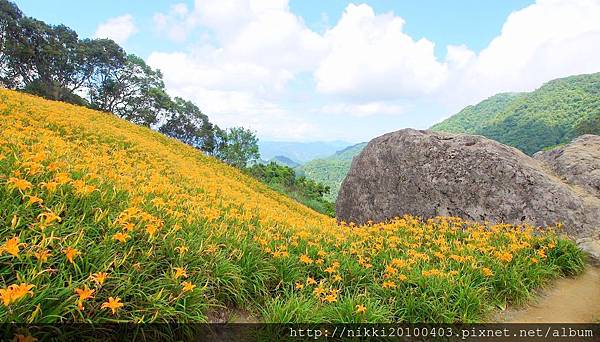 2024 花蓮玉里五大旅遊景點、三大美食、兩大金針花熱門景點