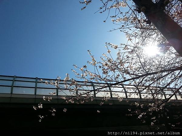 20140328_145346 20140328_145346