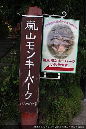 IMG_9286.JPG IMG_9286.JPG