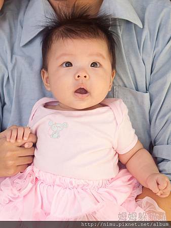 IMG_3723 - 複製a IMG_3723 - 複製a