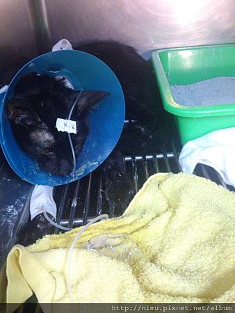 DSC_2230.jpg DSC_2230.jpg