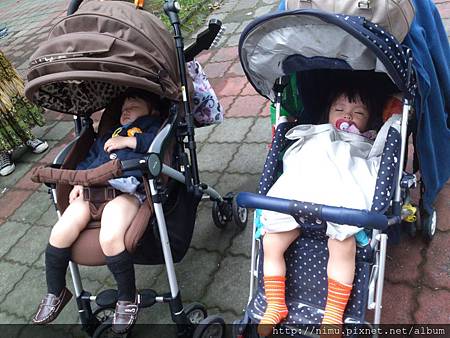 DSC_9163.jpg DSC_9163.jpg