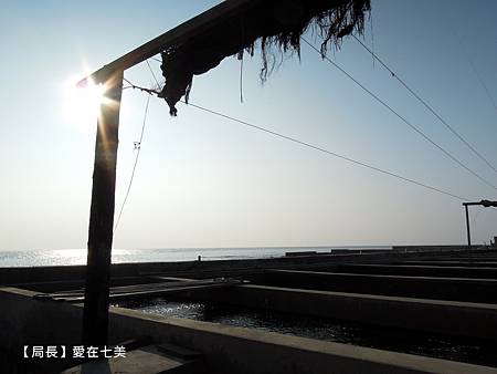 DSCN3497.JPG DSCN3497.JPG