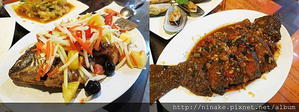 IMG_7179-1-horz IMG_7179-1-horz