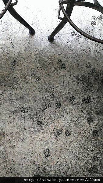 1549246_10154026072295107_1111979941_n.jpg 1549246_10154026072295107_1111979941_n.jpg