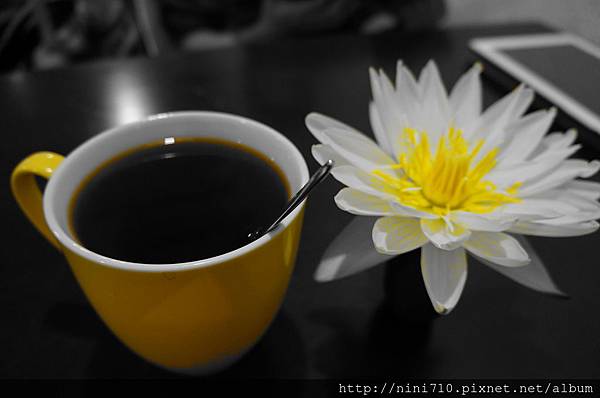 DSC00358 DSC00358