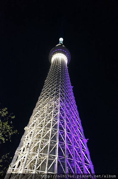 DSC08336 DSC08336