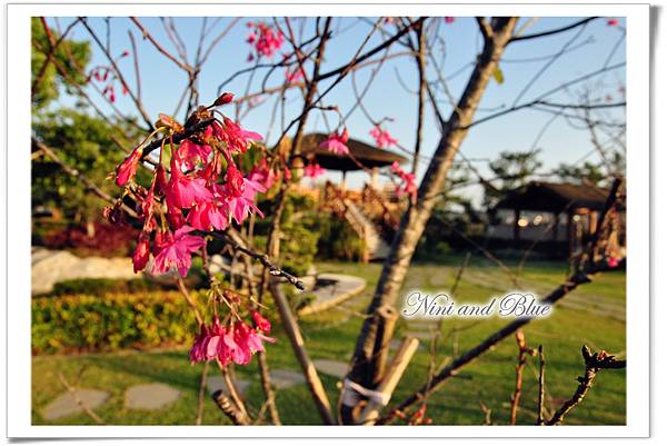 星月大地-泡湯06.jpg 星月大地-泡湯06.jpg