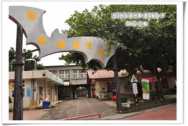 水林鄉黃金蝙蝠14.jpg 水林鄉黃金蝙蝠14.jpg