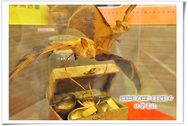 水林鄉黃金蝙蝠24.jpg 水林鄉黃金蝙蝠24.jpg