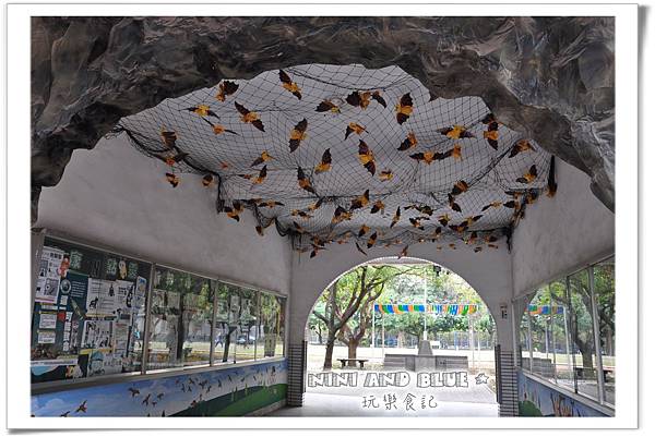 水林鄉黃金蝙蝠30.jpg 水林鄉黃金蝙蝠30.jpg