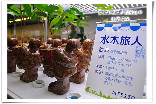 白水木咖啡18.jpg 白水木咖啡18.jpg