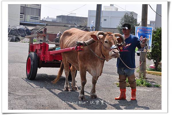 芳苑旅遊海牛車水08.jpg