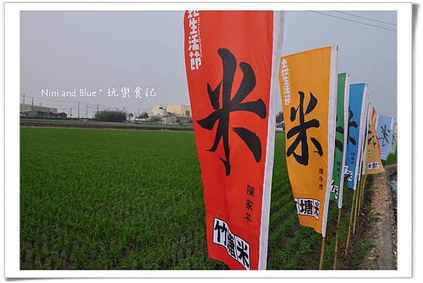 竹塘米字旗割稻飯09.jpg