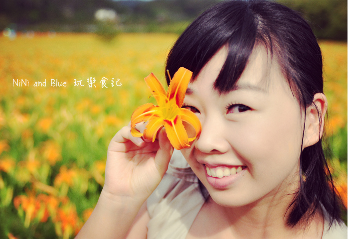 南投頭社金針花26.jpg 南投頭社金針花26.jpg