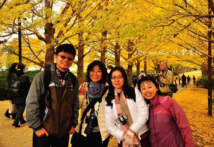 日本銀杏昭和公園10.jpg 日本銀杏昭和公園10.jpg