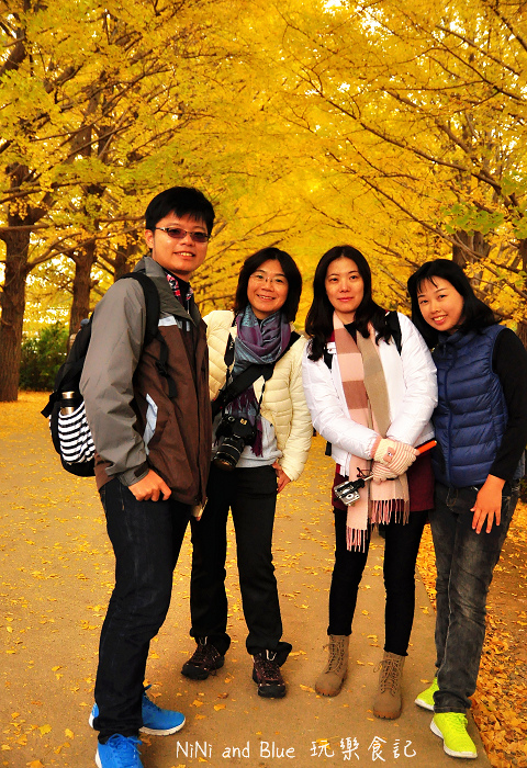 日本銀杏昭和公園11.jpg 日本銀杏昭和公園11.jpg