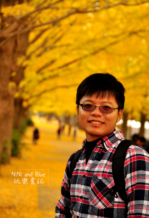 日本銀杏昭和公園12.jpg 日本銀杏昭和公園12.jpg