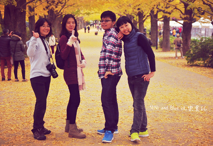 日本銀杏昭和公園14.jpg 日本銀杏昭和公園14.jpg