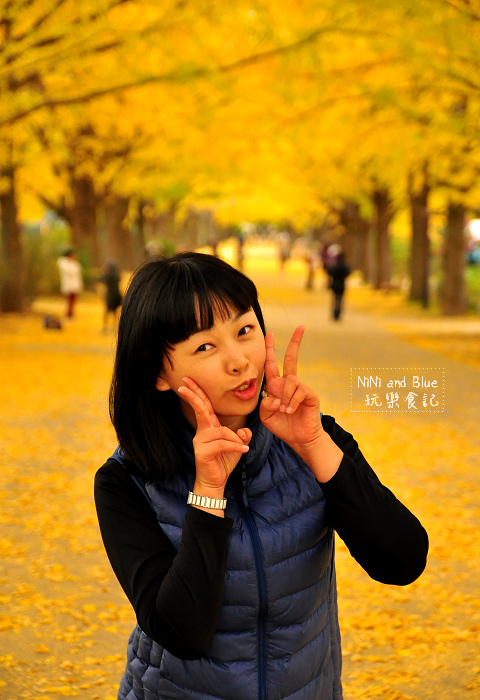 日本銀杏昭和公園15.jpg 日本銀杏昭和公園15.jpg