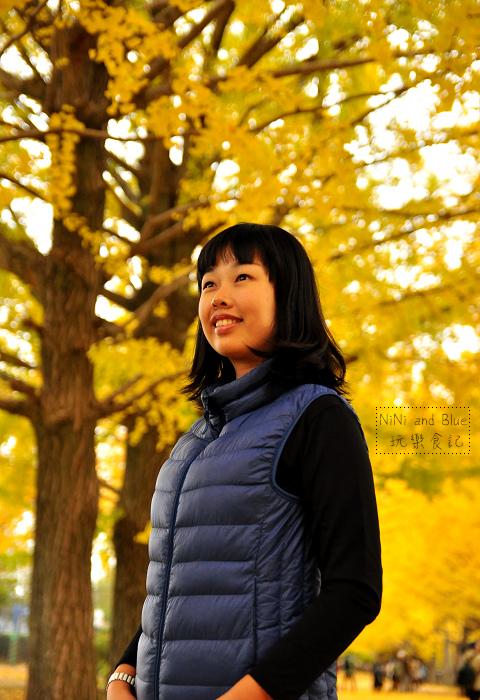 日本銀杏昭和公園16.jpg 日本銀杏昭和公園16.jpg